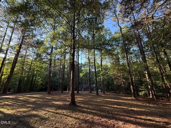 213 Long Needle Dr, Clayton, NC 27520
