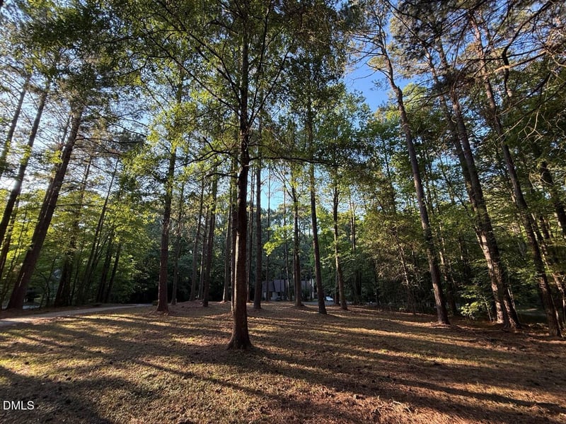 213 Long Needle Dr, Clayton, NC 27520
