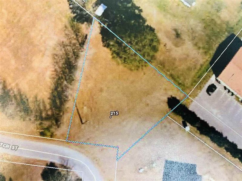 215 Butch St Lot 1, Erwin, NC 28339