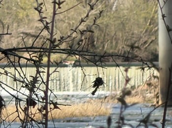 215 Bynum Rd, Pittsboro, NC 27312