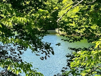 215 Dean Ln, Roxboro, NC 27574