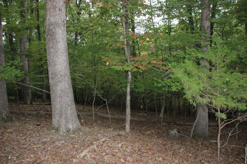 215 Fleming Dr Lot 42, Durham, NC 27712