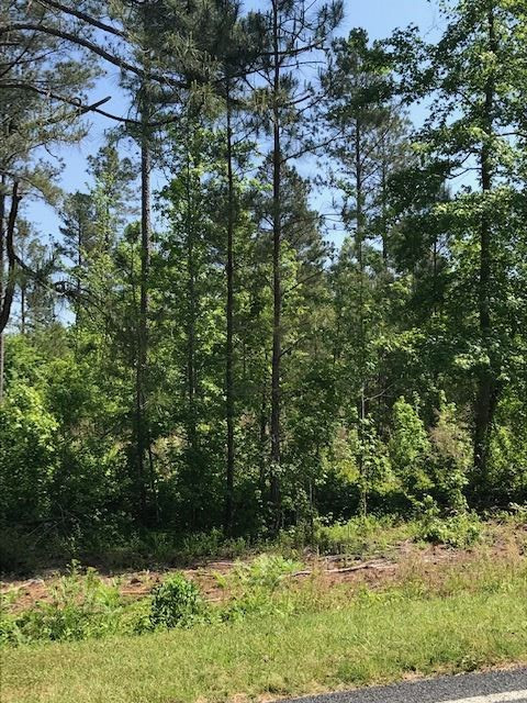 2150 Mcdougald Rd, Lillington, NC 27546