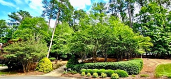 216 Copper Beech Ct, Chapel Hill, NC 27517