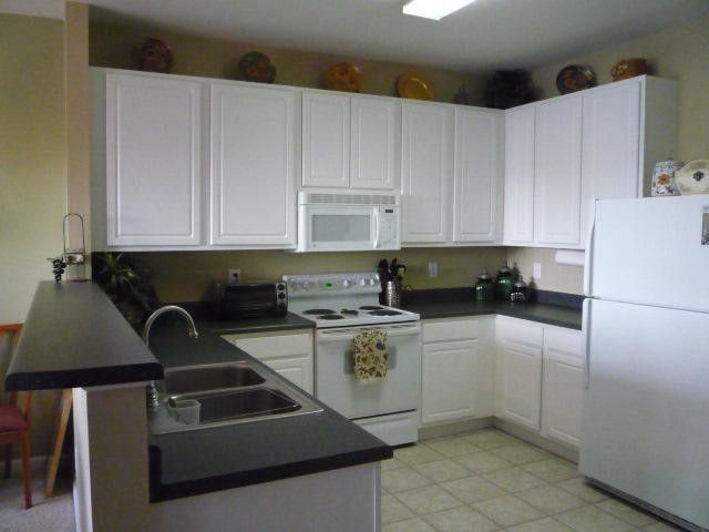 217 Basset Hall Dr, Durham, NC 27713