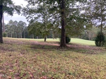 217 Cabin Creek, Pittsboro, NC 27312