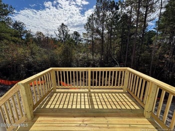 217 Horse Trot Ln, Sanford, NC 27332