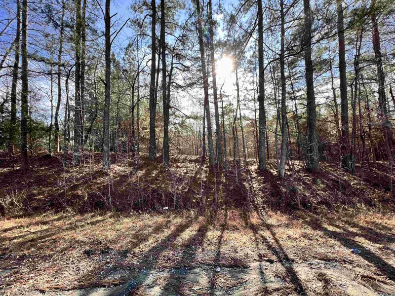 2174 Bowman Rd, Creedmoor, NC 27522