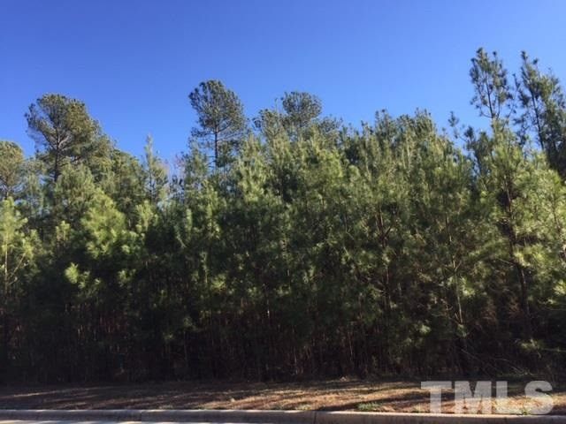218 High Ridge Ln Lot 128, Pittsboro, NC 27312