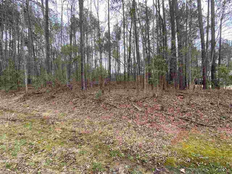 219 Sequoia Dr Lot 2135, Louisburg, NC 27549