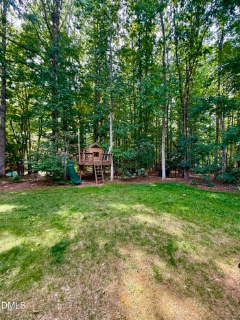 22 Goldthread Ave, Clayton, NC 27527