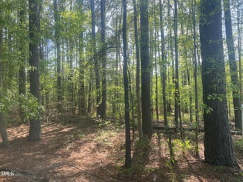 220 Curlew Dr Lot 18, Chapel Hill, NC 27517
