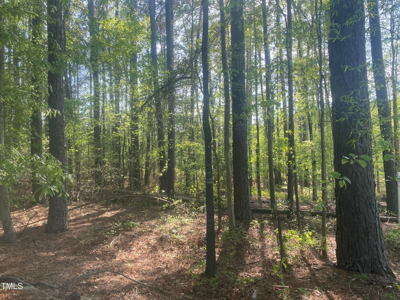 220 Curlew Dr Lot 18, Chapel Hill, NC 27517