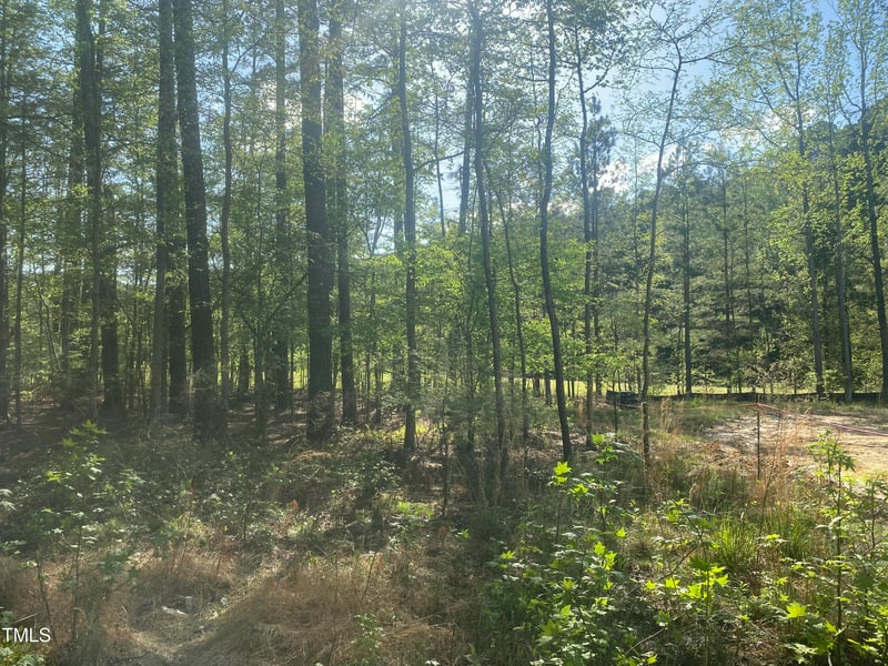 220 Curlew Dr Lot 18, Chapel Hill, NC 27517