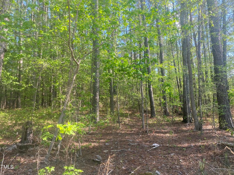 220 Curlew Dr Lot 18, Chapel Hill, NC 27517