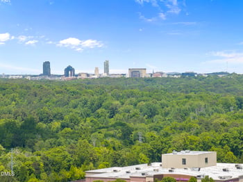220 Grey Elm Trl, Durham, NC 27713