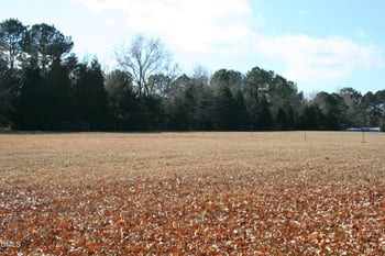 220 Jordan Narron Rd, Selma, NC 27576