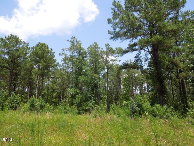 2200 Darroch Rd, Lillington, NC 27546