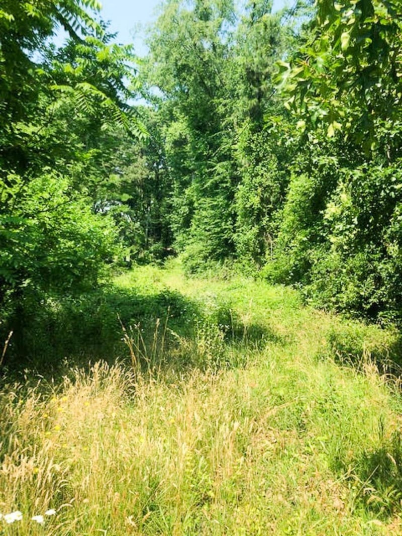 2200 Sanderford Rd Lot 22, Raleigh, NC 27610