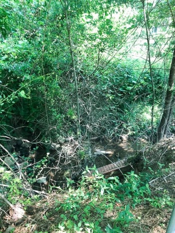 2200 Sanderford Rd Lot 22, Raleigh, NC 27610