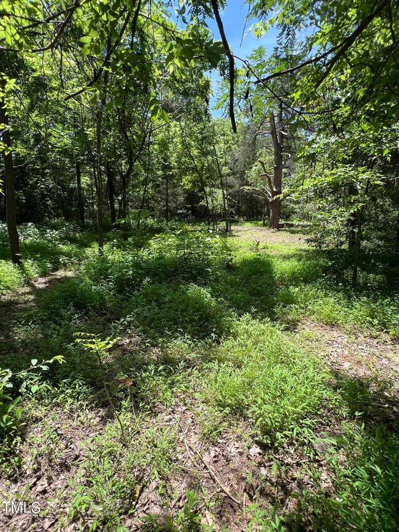 2201 Moorefields Rd Lot 1, Hillsborough, NC 27278