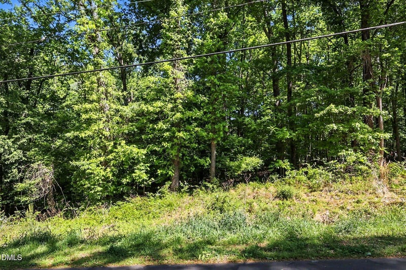 2202 Mont Haven Dr, Durham, NC 27712