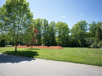 2207 Wheeler Rd, Raleigh, NC 27607