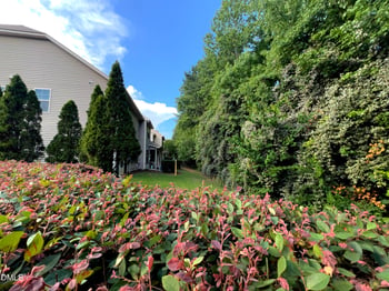 221 Diamond Head Dr, Durham, NC 27705