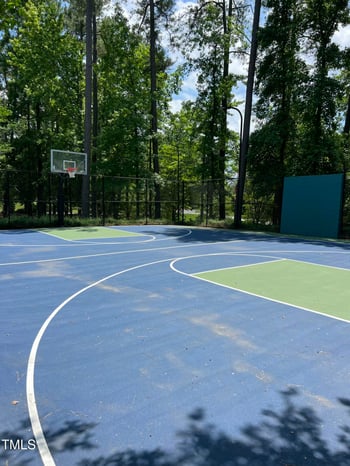 221 Mountain Laurel, Chapel Hill, NC 27517
