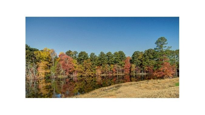 2213 Newleaf Dr, Apex, NC 27539