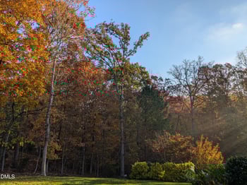 2219 Spacious Skies St, Raleigh, NC 27614