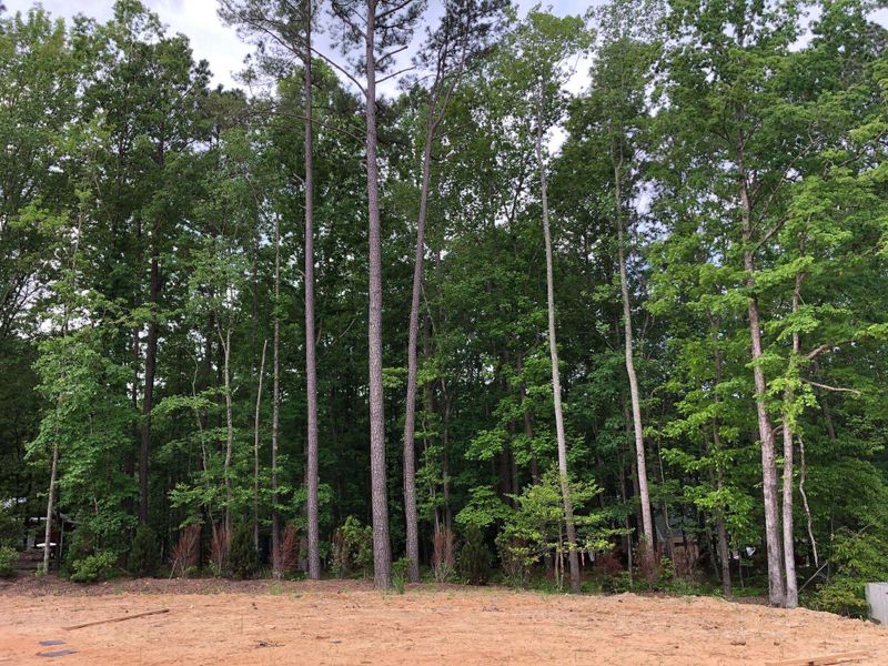 2226 Winston Cir, Apex, NC 27502