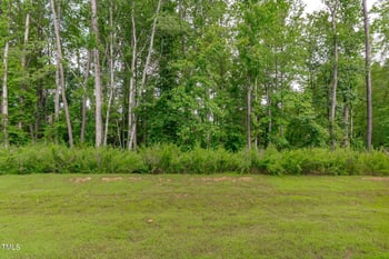 223 Aster Bloom Ln, Raleigh, NC 27610