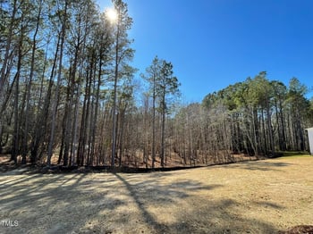 223 Magnolia Run Way, Benson, NC 27504