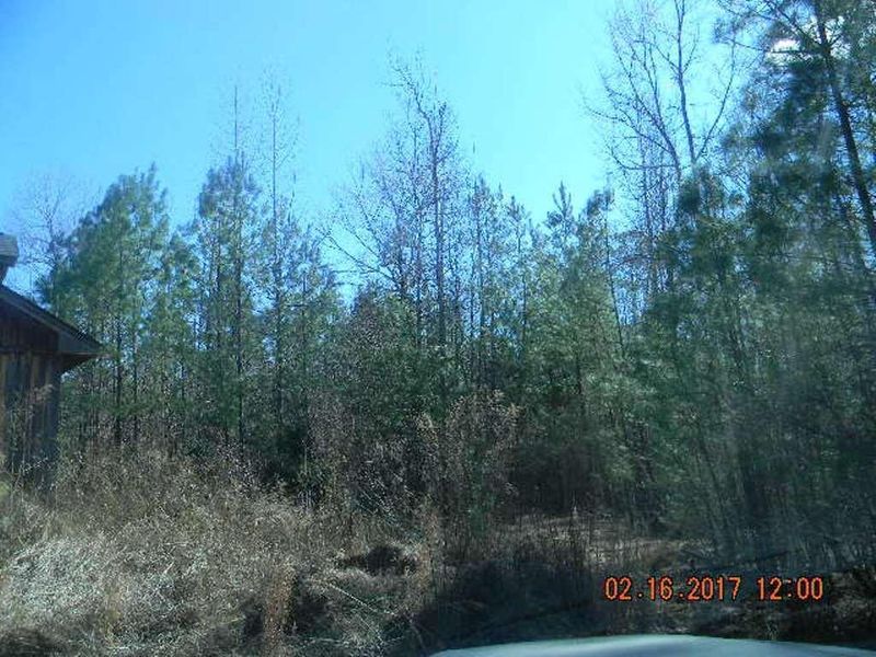 2230 Preacher Davis Rd, Haw River, NC 27258