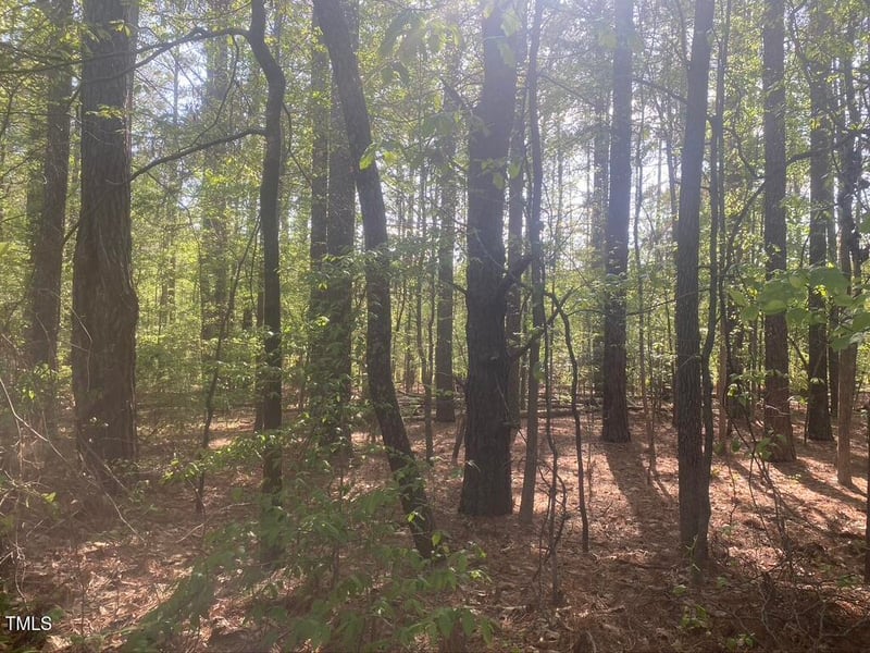 224 Curlew Dr, Chapel Hill, NC 27517