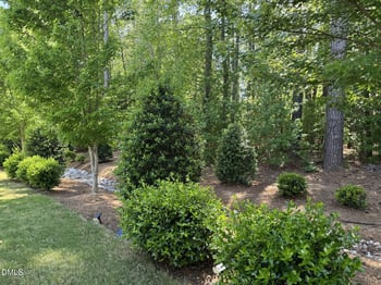 224 Myatt Fern Dr, Garner, NC 27529