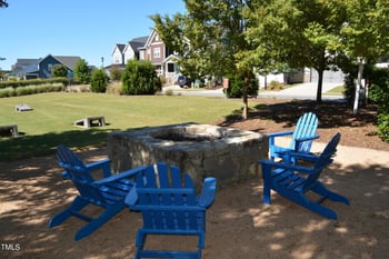 224 Thunder Forest Ln, Wendell, NC 27591