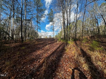 225 Gary Dr Lot 32, Angier, NC 27501