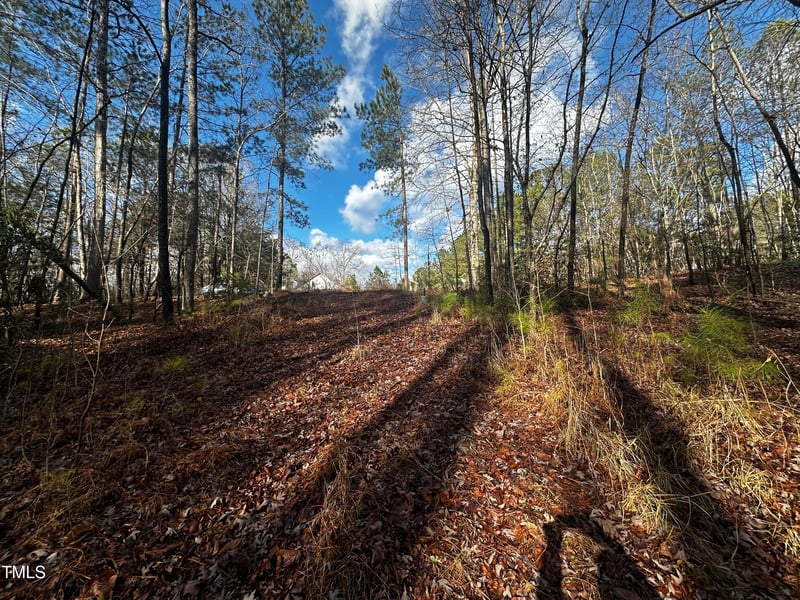 225 Gary Dr Lot 32, Angier, NC 27501