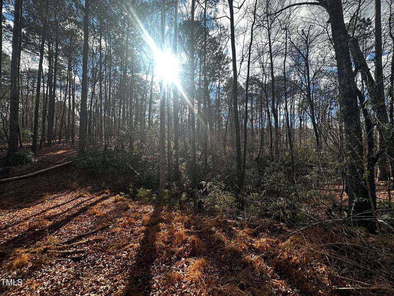 225 Gary Dr Lot 32, Angier, NC 27501