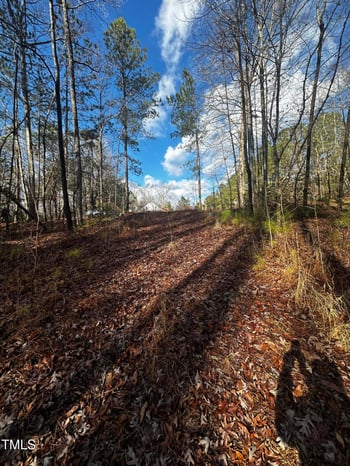 225 Gary Dr Lot 32, Angier, NC 27501