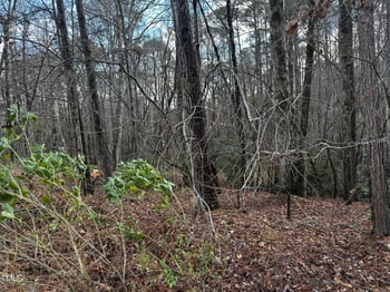 225 Gary Dr Lot 32, Angier, NC 27501