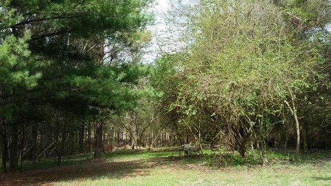 225 Northvale Ln, Durham, NC 27703