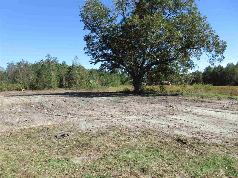2250 Pilot Riley Rd Lot 1, Zebulon, NC 27597