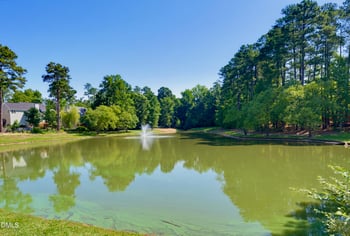 226 Castle Hayne Dr, Cary, NC 27519