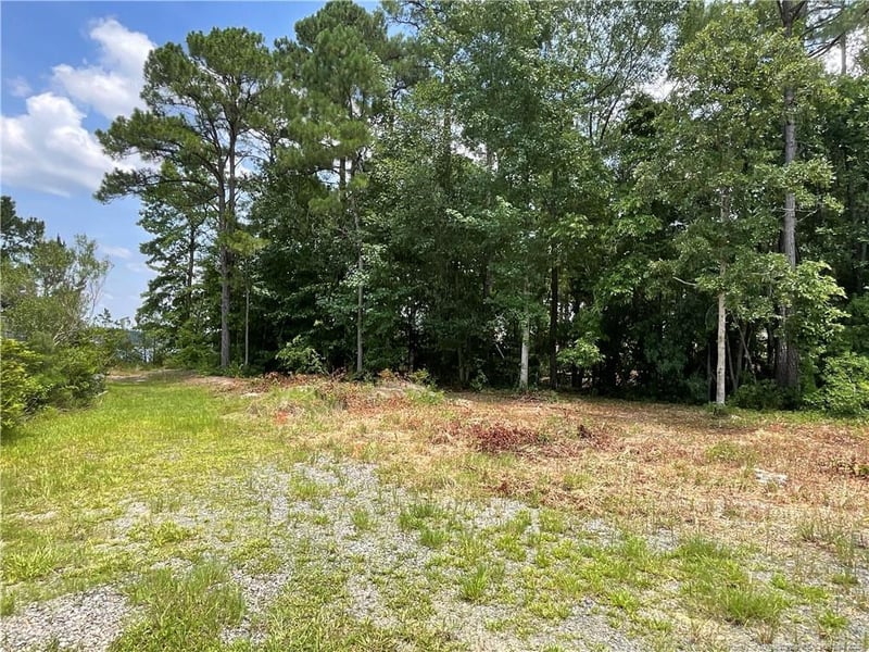 226 Clearview Ct, Sanford, NC 27332