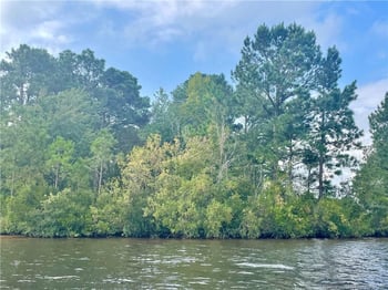 226 Clearview Ct, Sanford, NC 27332