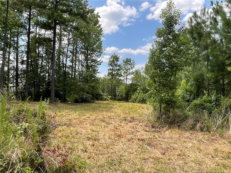 226 Clearview Ct, Sanford, NC 27332