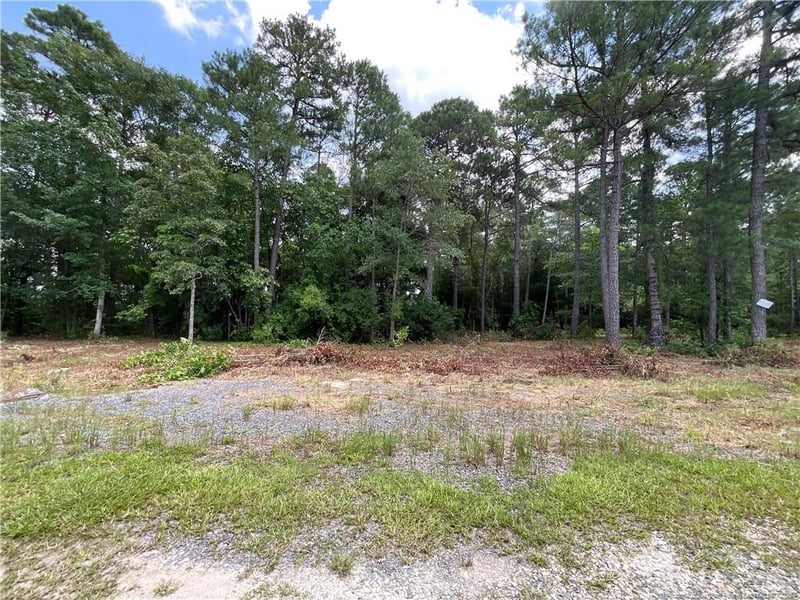 226 Clearview Ct, Sanford, NC 27332